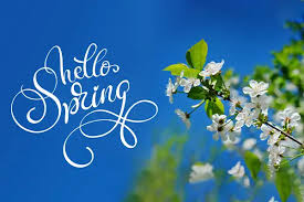 The Best Natural Skincare Tips for Spring Renewal