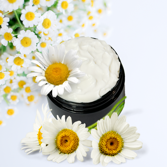 Chamomile Organic Moisturizing Body Lotion Shea Cocoa Butter