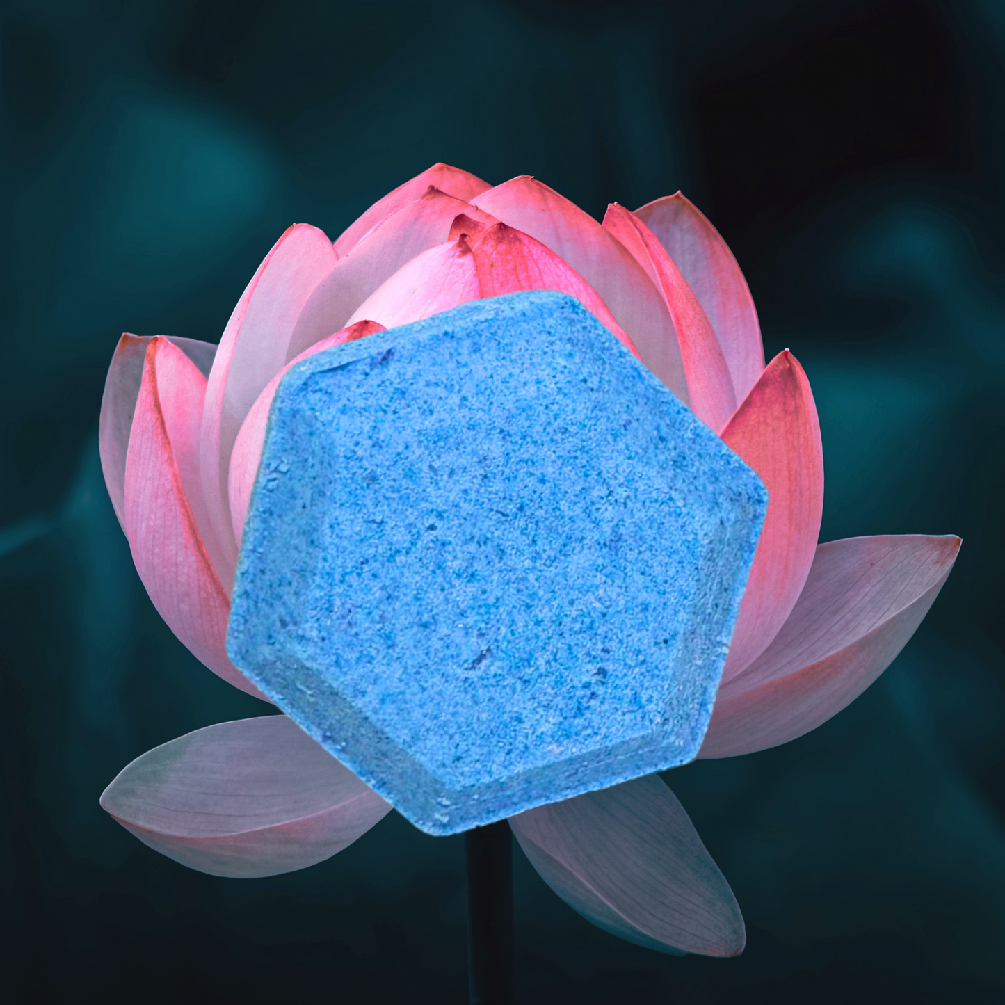 Lotus Flower Natural Aromatherapy Relaxing Shower Steamers