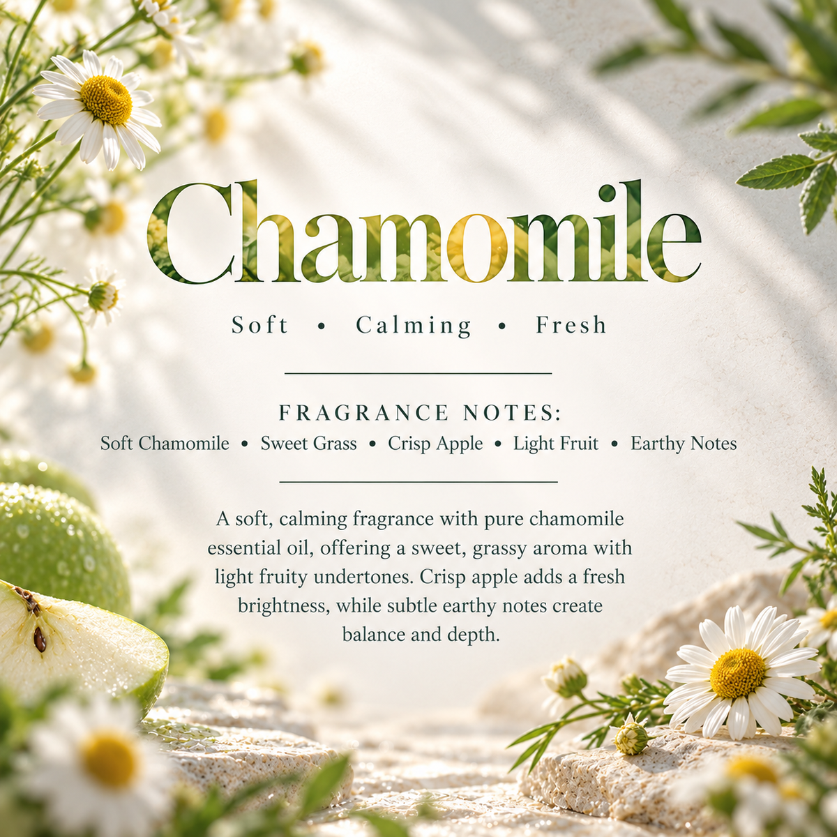 Chamomile scent profile featuring soft chamomile, sweet grass, crisp apple, light fruit and earthy notes for a gentle calming aroma.