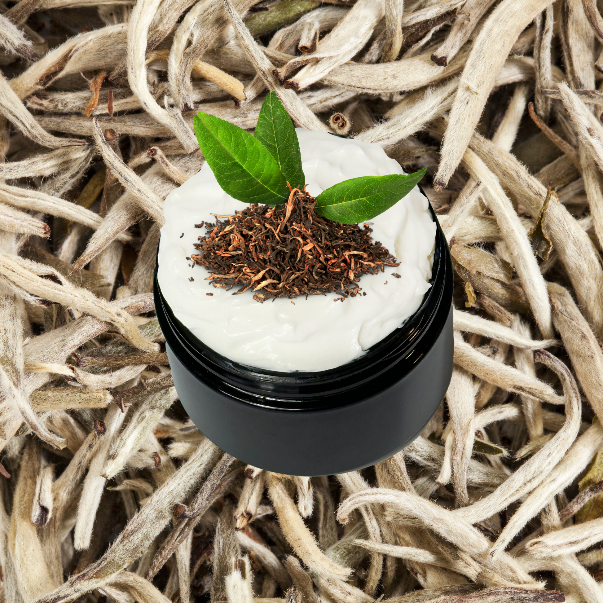 White Tea Organic Moisturizing Body Lotion