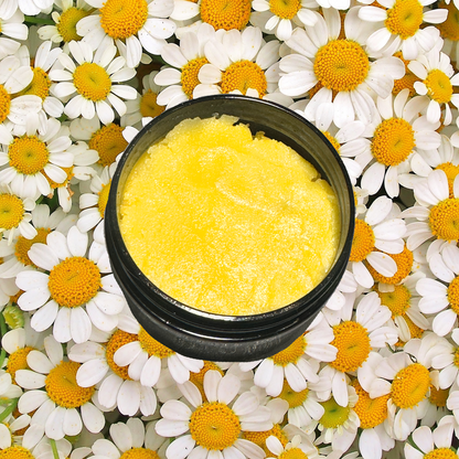 Chamomile Whipped Shea Sugar Scrub