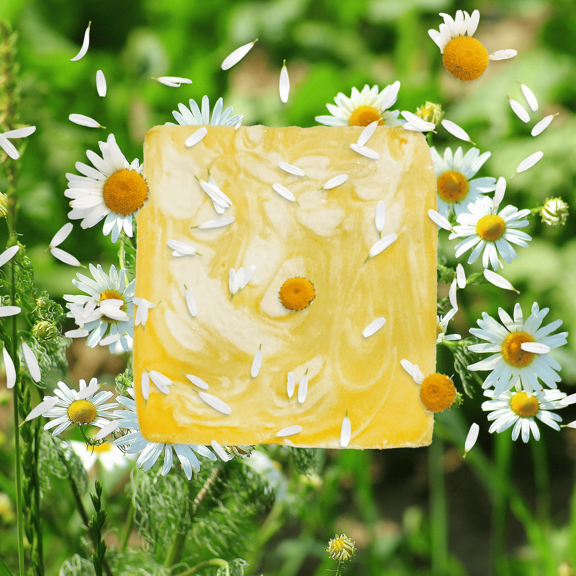 Chamomile natural clay bar soap