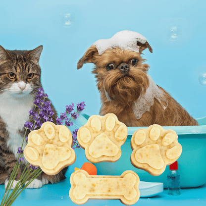 Cat and dog with bath products on a blue background