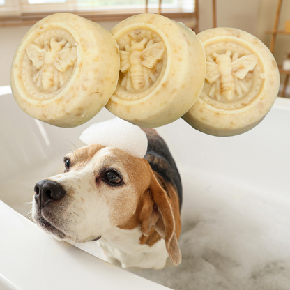 Dog with soap on its head in a bathtub