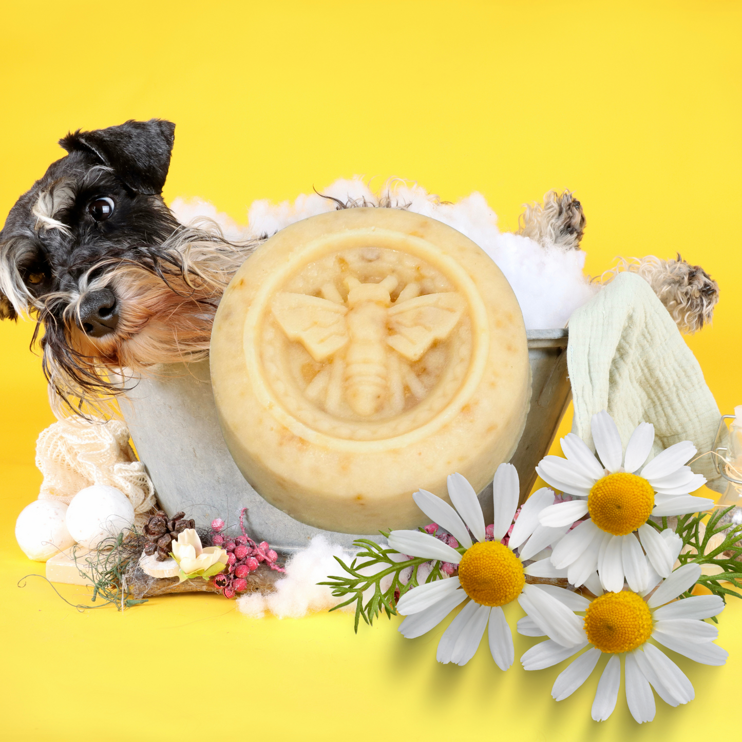 Bar of soap with bee design surrounded by flowers and a small dog on a yellow background