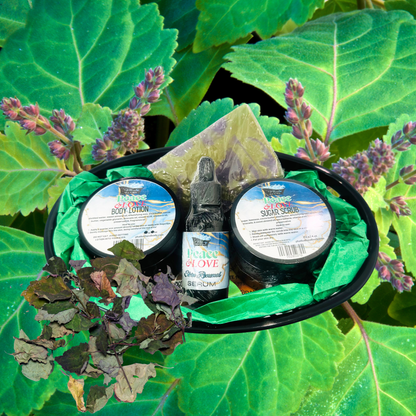 Skincare product set with bottles and containers on a green leafy background