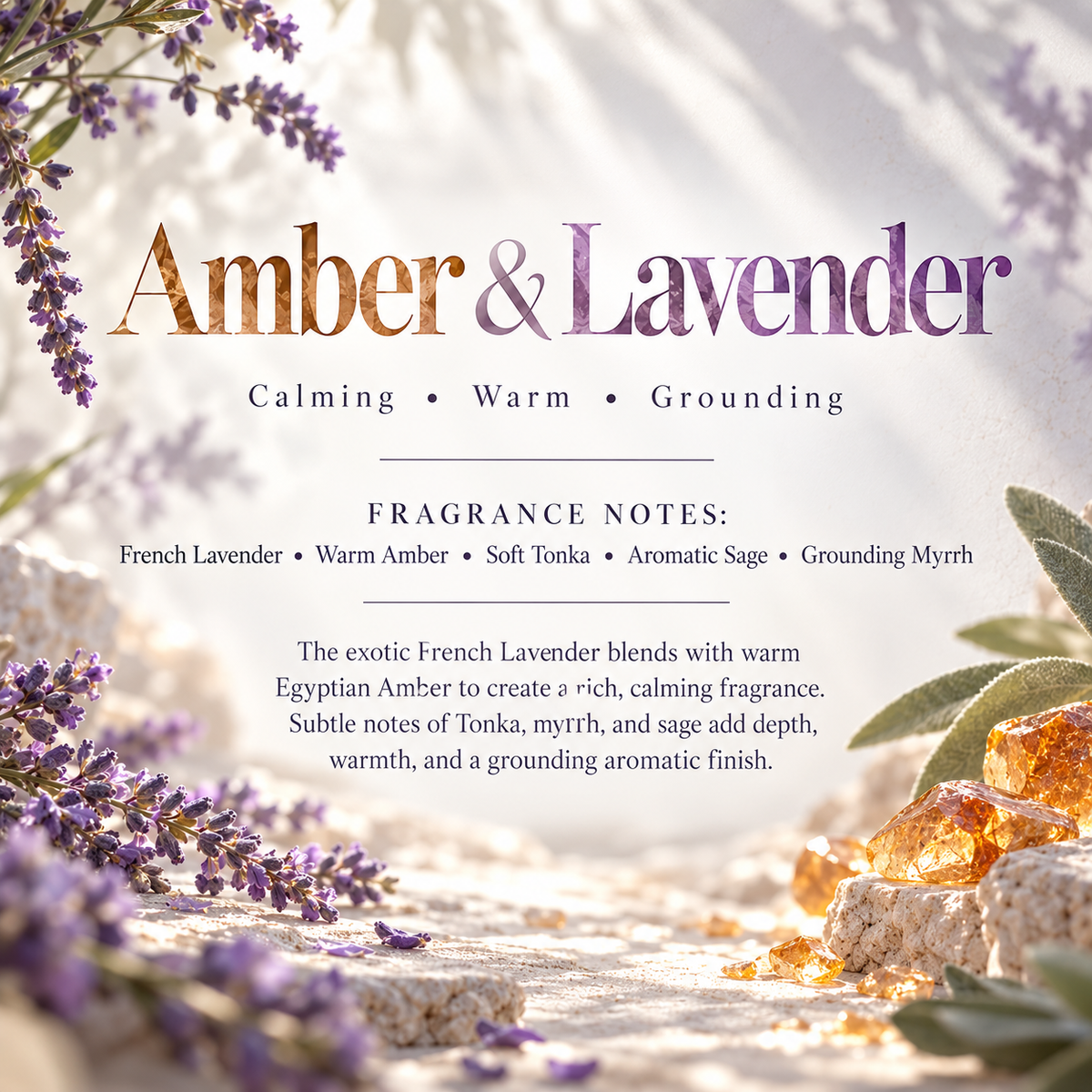 Amber & Lavender scent profile featuring French lavender, warm amber, soft tonka, aromatic sage and grounding myrrh.