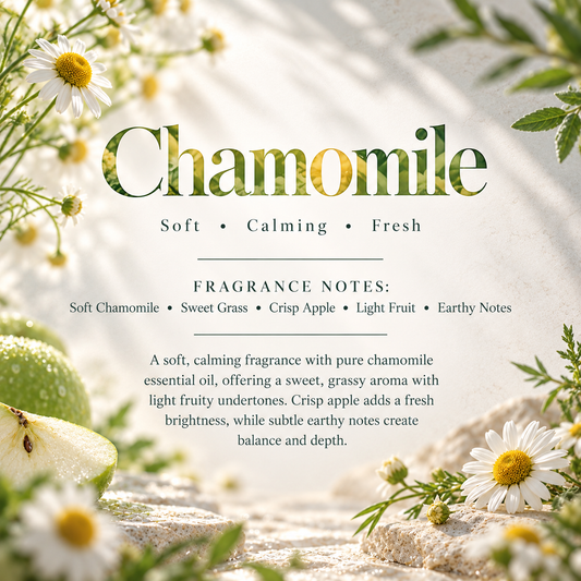 Chamomile scent profile featuring soft chamomile, sweet grass, crisp apple, light fruit and earthy notes for a gentle calming aroma.